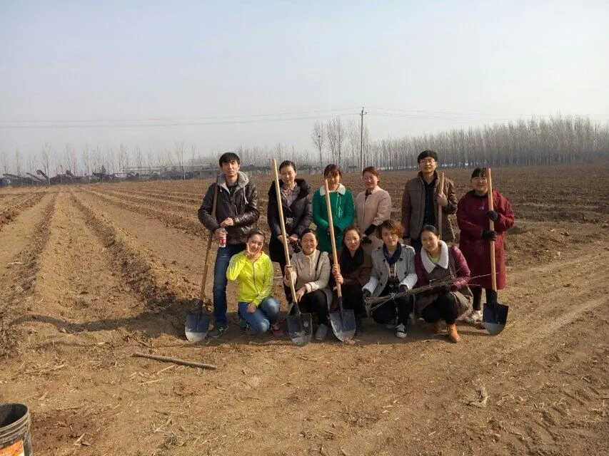 博農(nóng)集團(tuán)領(lǐng)導(dǎo)、基層黨政負(fù)責(zé)人等同志積極參加植樹活動